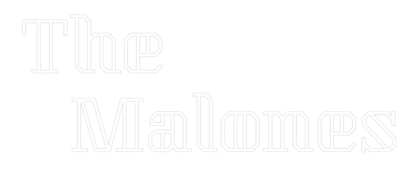 Custom Neon Light The Malones - Image 2